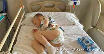 81 people unwell and 16 hospitalised after parasitic infection outbreak at Welsh attraction