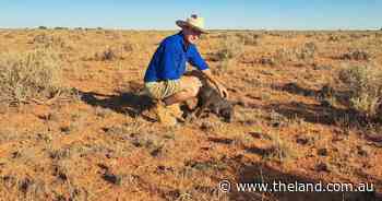 Radars, eID, rural issues on agenda as PAWD AGM sets future path