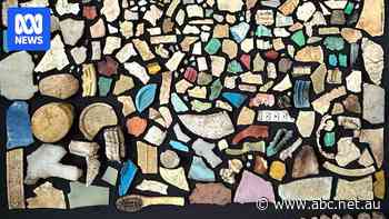 On a pristine Australian island the birds are so full of plastic they crunch