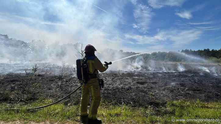 Natuurbrand op Oirschotse Heide, brandweer rukt groots uit