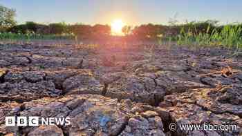 West farmers warn they need a month of wet weather