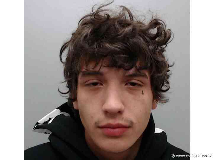 Man wanted by Sarnia police jailed for drug-fuelled crime spree