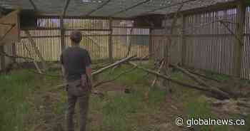 Alberta non-profit forced to fundraise after being denied grant funding