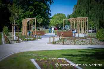 Aus dem Dornröschenschlaf erweckt