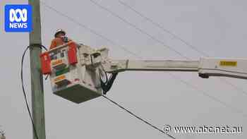 TasNetworks not equipped to handle 2024 storm event, review finds