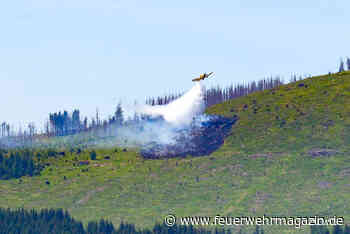 Löschflugzeug bei Vegetationsbrand im Einsatz