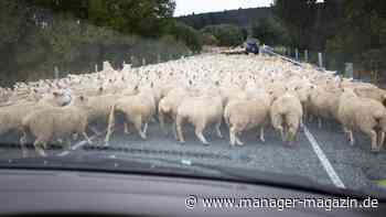 Unsicherheit managen mit agilen Methoden: Vertical Slicing