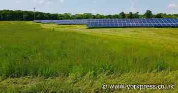 'Devastated' campaigners may appeal against solar farm 'as big as Durham'