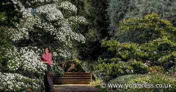 North Yorkshire's Newby Hall to make RHS Chelsea Flower Show debut