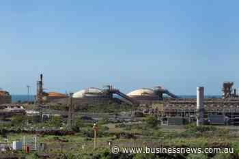 Cook presses Albo over Woodside call