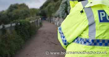 Gang fight breaks out on clifftop