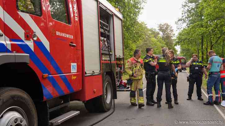 Bestuurder overlijdt na botsing tegen boom, politie doet onderzoek