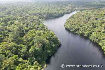 Long-term drought could cause ‘profound change’ in Amazon rainforest – study
