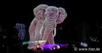 Circus Roncalli in Hannover 2025: Alles zu Anreise, Show und Tickets