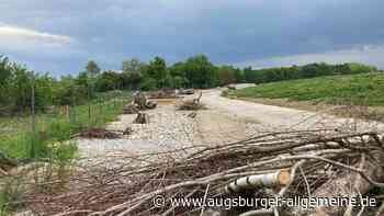 Was die Firma Ditsch zu den Bedenken gegen ihre Bauschutt-Recyclinganlage sagt
