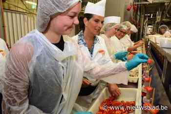 Frietsnackproducent Mora sluit Belgische vestiging ondanks winst: zeventig mensen verliezen job