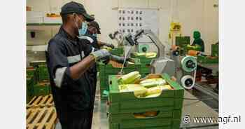 "Inzetten voor ondernemen met impact in opkomende markten"