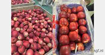 "Vraag naar appelen in India is terug, we verschepen nog steeds Red Jonaprince"