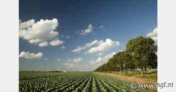 Vereenvoudigings-pakket voor gemeenschappelijk landbouwbeleid
