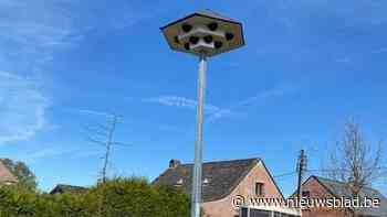 Wandeling leidt langs groene en inspirerende plekjes in Vosselaar