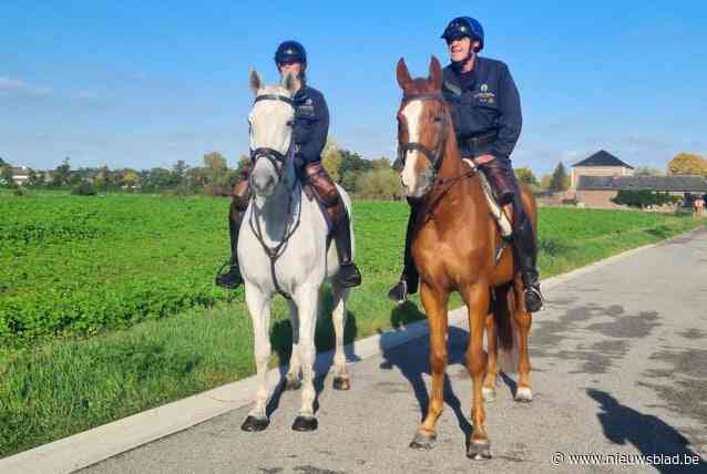 Politie te paard komt voor het eerst naar Zoutleeuw