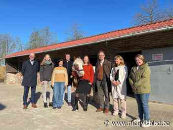 Kinderen en jongeren met psychische problemen kunnen voor hippotherapie terecht op Hoeve Ter Kerst