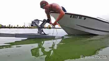 How a U.S. weather agency tries to combat 'do-it-yourself' Lake Erie algae bloom forecasts