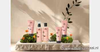 Scandinavische kruipbraambes centraal in natuurlijke haar- en huidverzorging