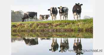 "Campagne vergroot zichtbaarheid biologische producten"
