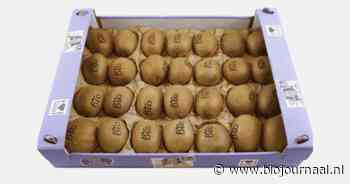 "Gele kiwi wint terrein: voorspellingen voor de biologische markt"