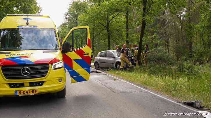 Tragisch ongeluk in Lierop: vrouw (83) botst tegen boom en overlijdt
