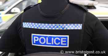 Man to face court after remains of 37 dogs found