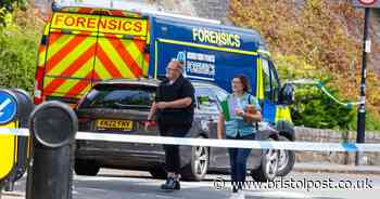 Bristol suitcase murder trial 'simply cannot continue'