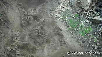 Wyoming’s Bighorn Mountains Still Healing From The Elk Fire