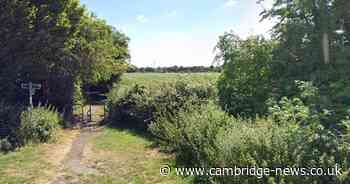 Developers given green light to build 300 new homes on edge of town