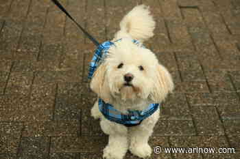 Morning Notes for May 15, 2025