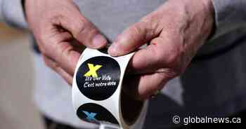 Newfoundland riding recount work could go into weekend. What to know