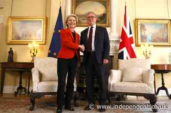 Brexit reset: What deal is Sir Keir Starmer trying to get with EU?