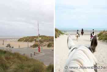 Maatregelen op komst tegen overlast door ruiters: “Strandgangers en ruiters veilig combineren”