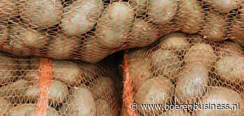 Plomberingsvolume pootgoed hoogste in jaren