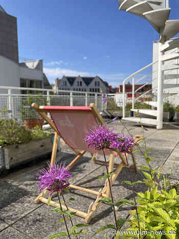Bienen auf den Stadthaus-Terrassen - Botanik-Stunde mit dem Biologen Stefan Mäck