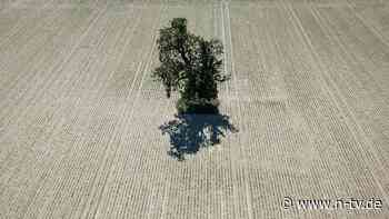 "Leider wirklich krass": Es kommt etwas Regen - jedoch viel zu wenig