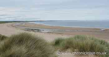 Two 'magical' North East beaches named among best in UK for rockpooling