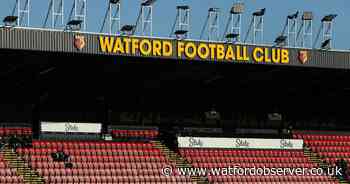 No truth in rumours former Swansea sporting director to join Hornets