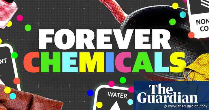How 'forever chemicals' have seeped into almost everything – video