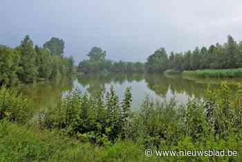 Er was een optie, maar Maldegem past voor zwemzone in open lucht: “De normen van Vlaanderen zijn bijna niet te halen”