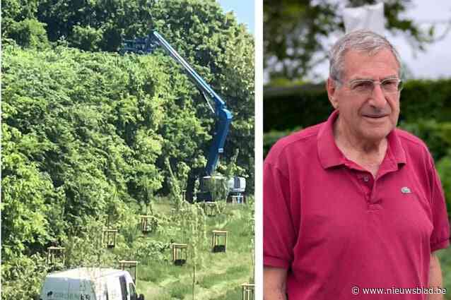 Snoeiwerken door luchthavenuitbater stilgelegd na klachten actiecomité: “Deze bomen vormden onze natuurlijke geluidsmuur”