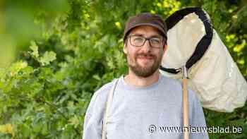 Nieuwe exotische wants ontdekt door Hasselaar met missie: “Ik heb nog 260 soorten nodig”