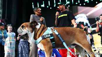 Hamilton concerned for elderly bulldog Roscoe