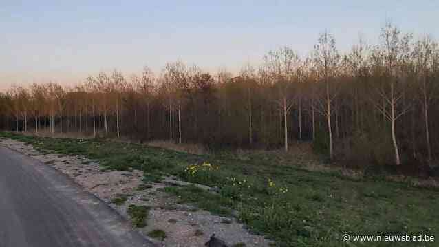 Agentschap voor Natuur en Bos koopt 82 hectare natuurgebied in Bornem: “Kwetsbare natuur in Vlaanderen beschermen”